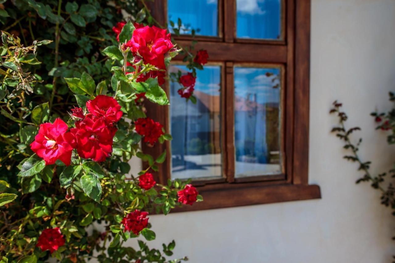 Woodland Resort Крагуевац Экстерьер фото